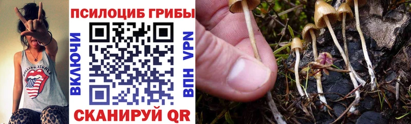 Галлюциногенные грибы Cubensis  Иваново 