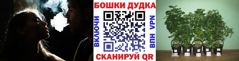 купить закладку  Иваново  Бошки марихуана AK-47 